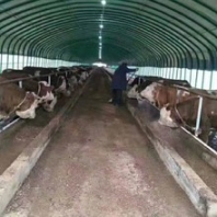 福建薄膜养殖大棚多少钱食用菌温室大棚