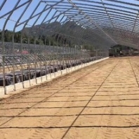 新疆简易温室大棚价格表简易大棚