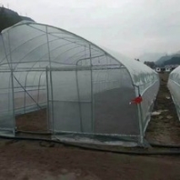 福建简易温室大棚性能特点春秋大棚