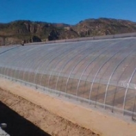 山西花梁式温室大棚搭建简易大棚