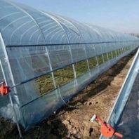 黑龙江花梁式温室大棚价格钢管温室大棚