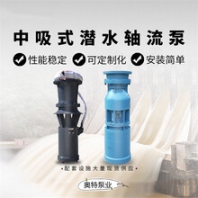 河南轴流泵安装形式_雪橇式_井筒式_浮筒式