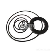 A7V40DR1LPF00液压泵密封修理包Sealkit/Repairkit