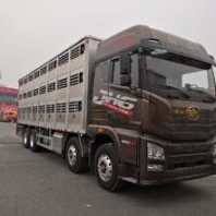 基澎叉车 叉车 中天创新规格齐全